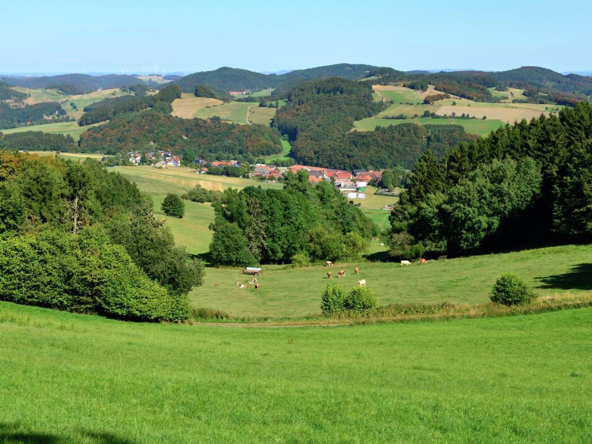 Apartment With Garden In Eimelrod Willingen  Bagian luar foto